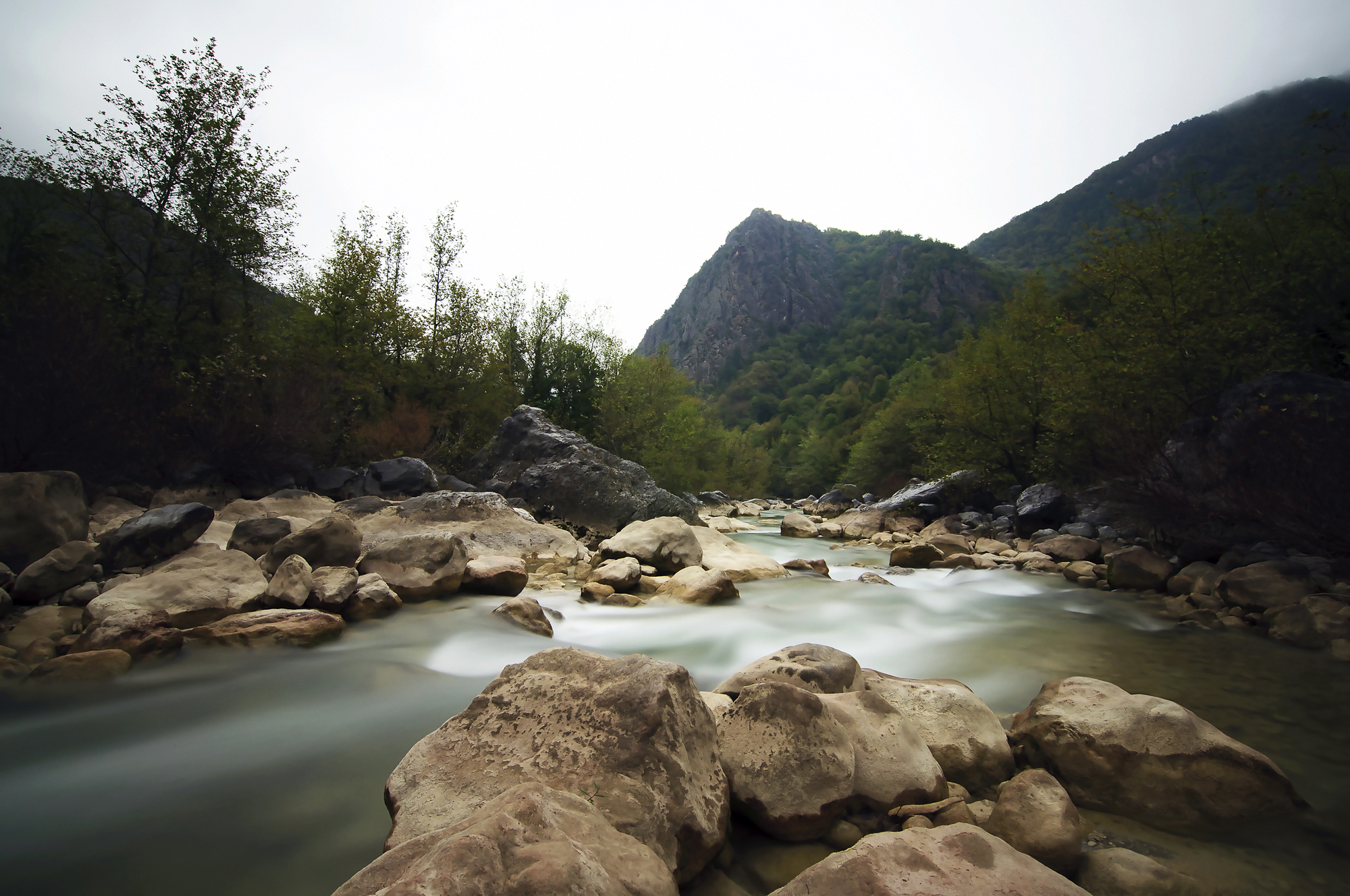 İÇİMİZDEN BİRİ (AYIN KONUĞU)  - MART