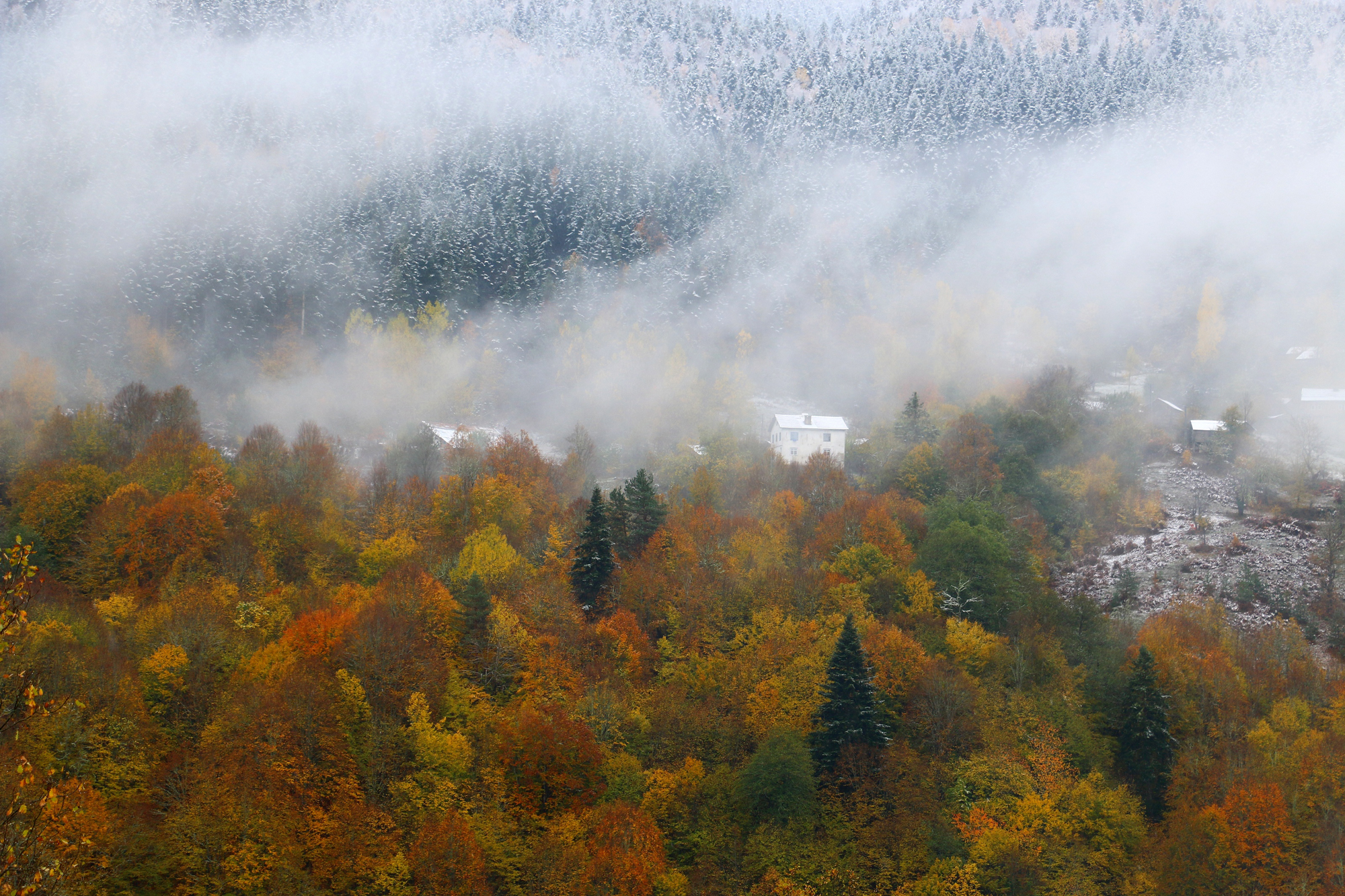 İÇİMİZDEN BİRİ (AYIN KONUĞU)  - EYLÜL