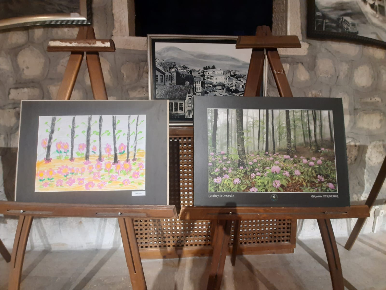 ‘İstiklal ‘in Yoluyla, İstikbalin Gözünde Kastamonu’ Kastamonu’ fotoğraf ve resim sergisi
