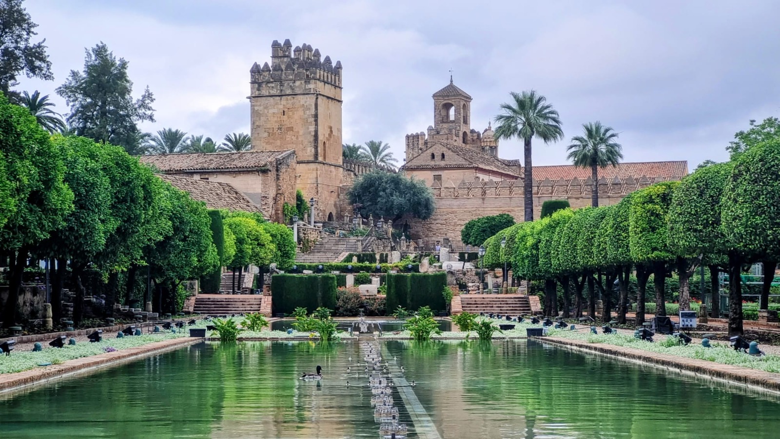 İÇİMİZDEN BİRİ (AYIN KONUĞU)- NİSAN