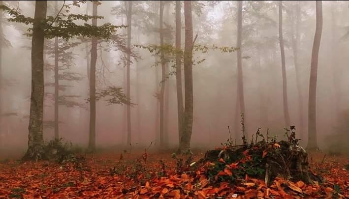İÇİMİZDEN BİRİ (AYIN KONUĞU)  - TEMMUZ