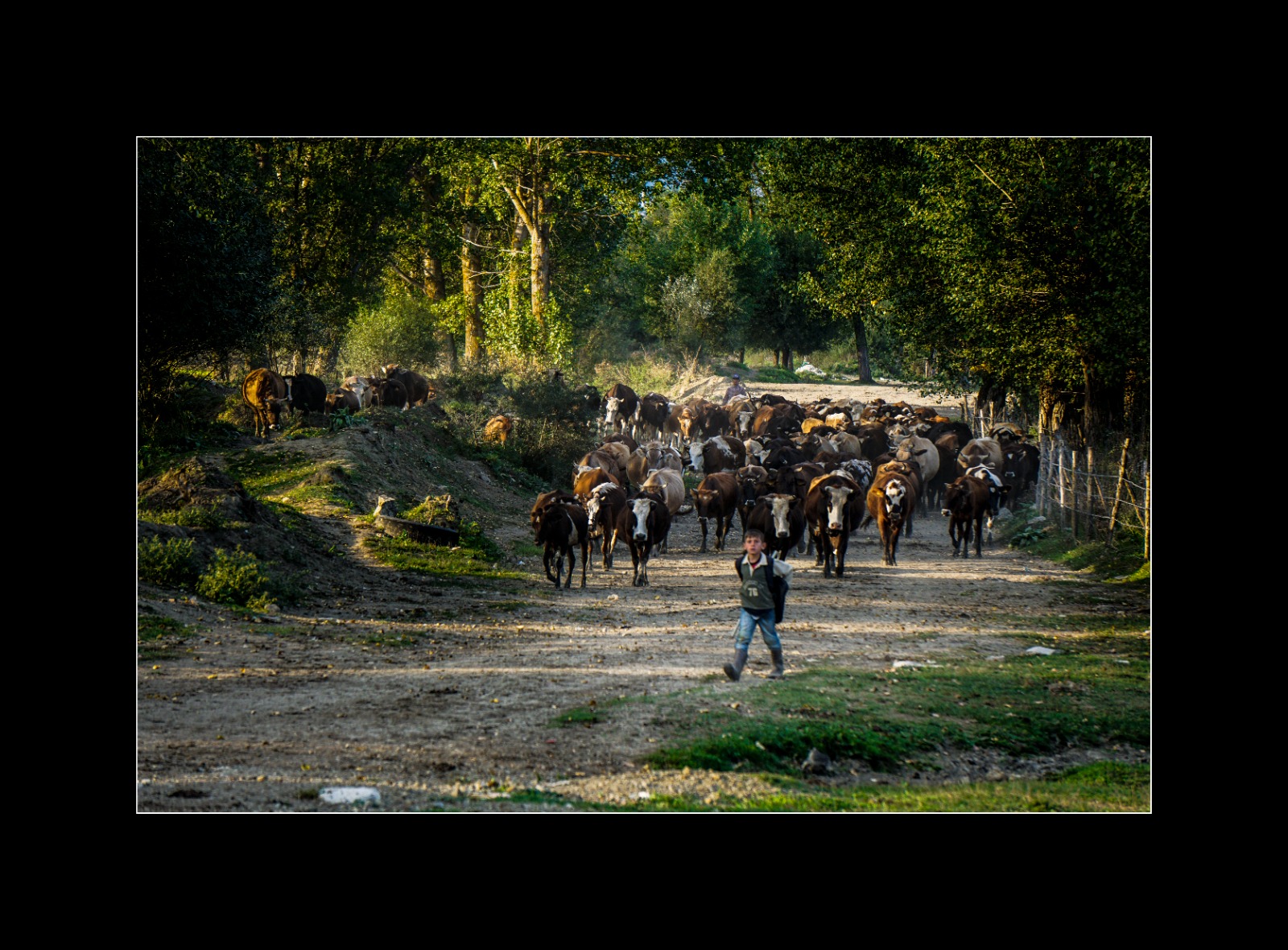 İÇİMİZDEN BİRİ (AYIN KONUĞU)  - TEMMUZ