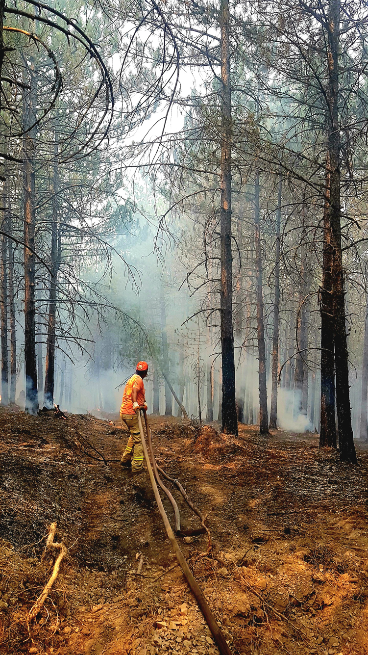 İÇİMİZDEN BİRİ (AYIN KONUĞU)  - EYLÜL