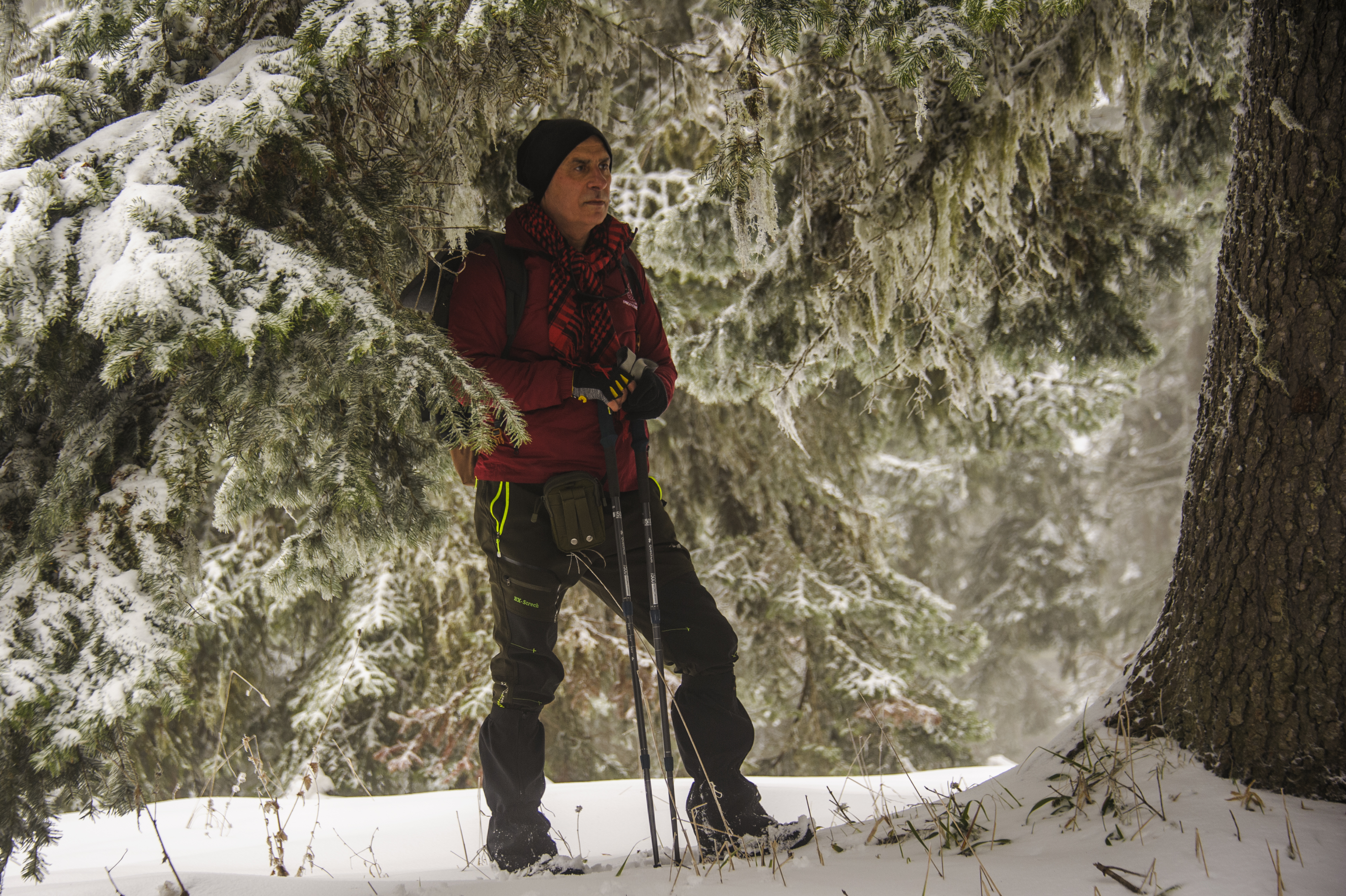 İÇİMİZDEN BİRİ (AYIN KONUĞU)  - HAZİRAN
