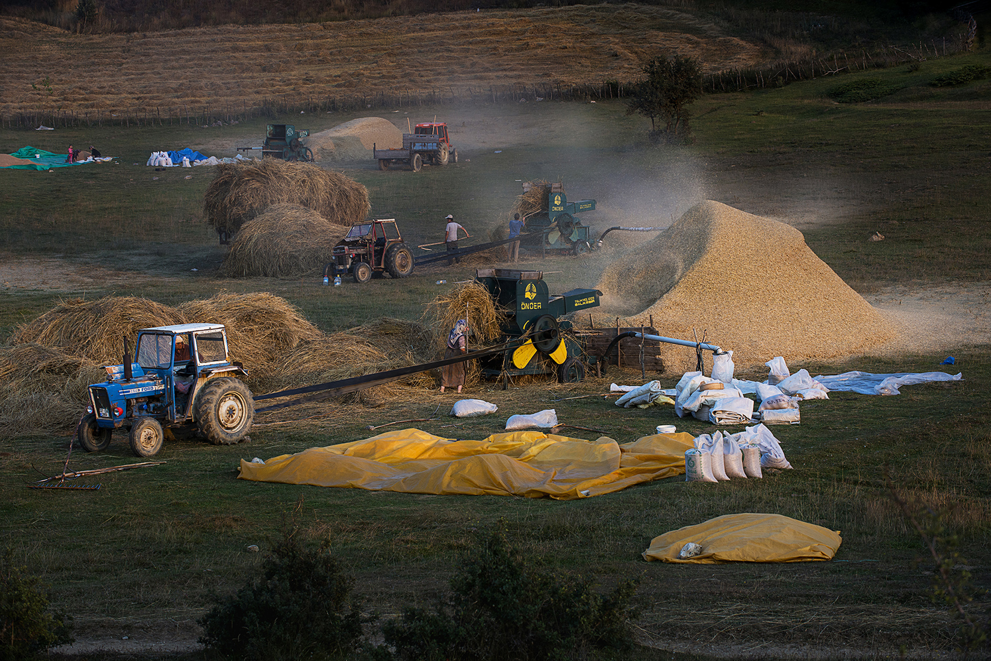 İÇİMİZDEN BİRİ (AYIN KONUĞU)  - AĞUSTOS