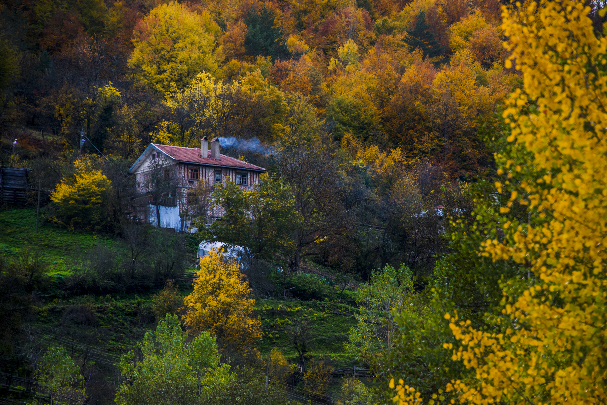 İÇİMİZDEN BİRİ (AYIN KONUĞU)  - AĞUSTOS