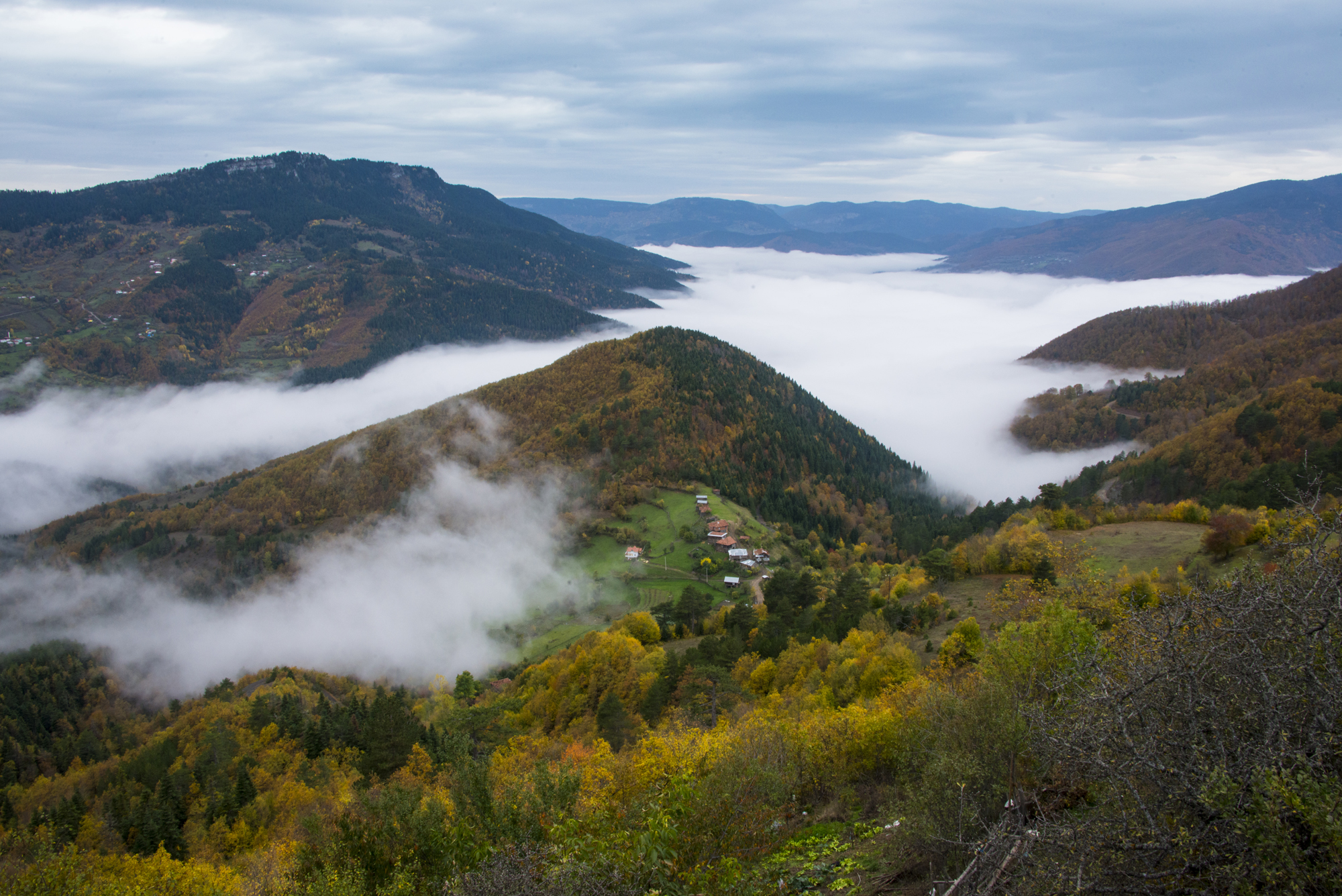 İÇİMİZDEN BİRİ (AYIN KONUĞU)  - AĞUSTOS