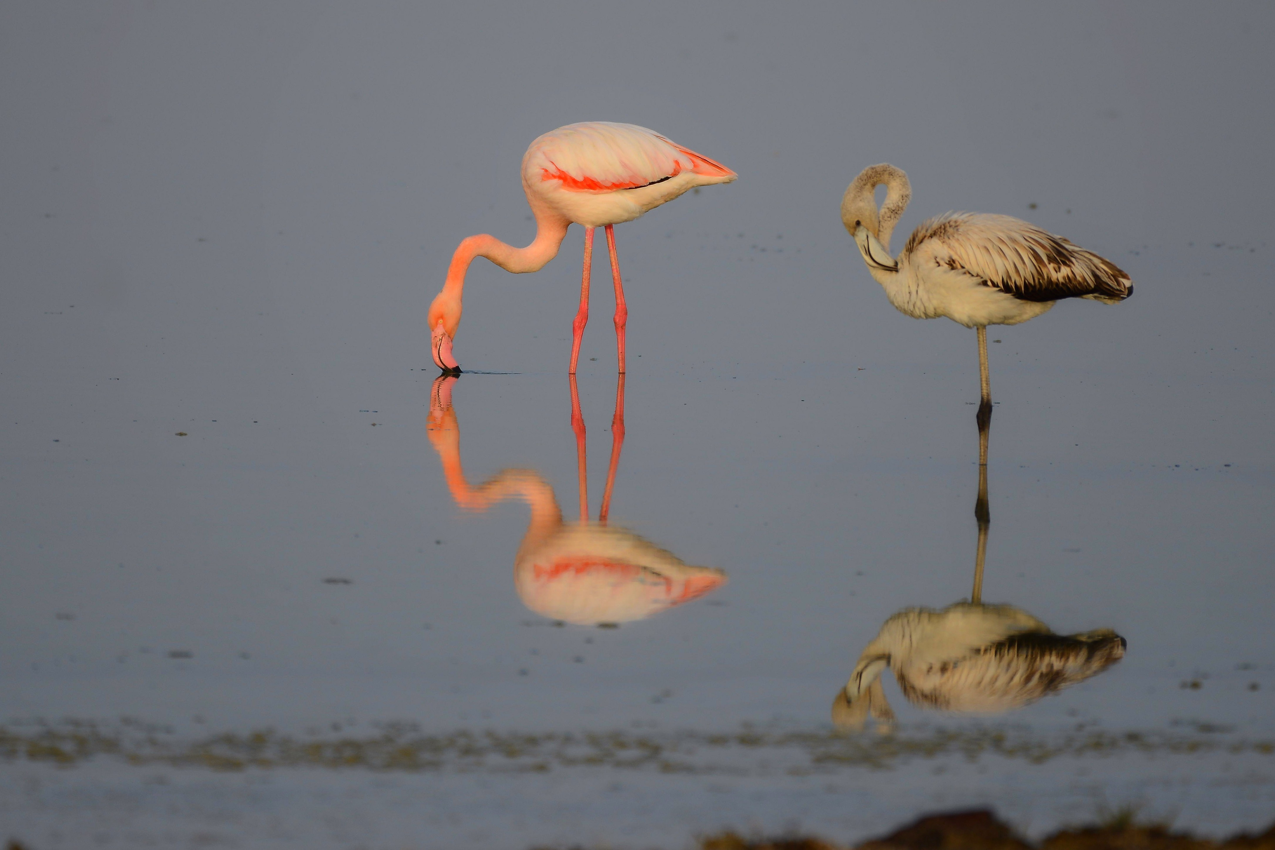 İÇİMİZDEN BİRİ (AYIN KONUĞU)  - KASIM