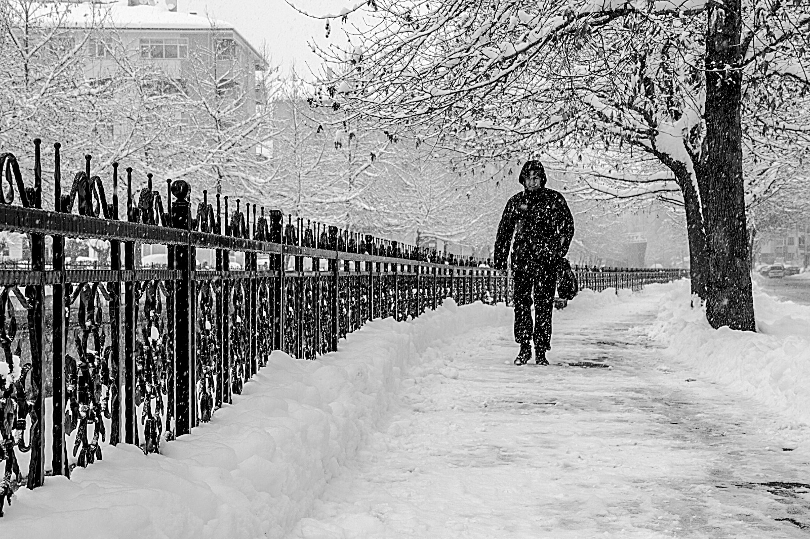İÇİMİZDEN BİRİ (AYIN KONUĞU)- NİSAN