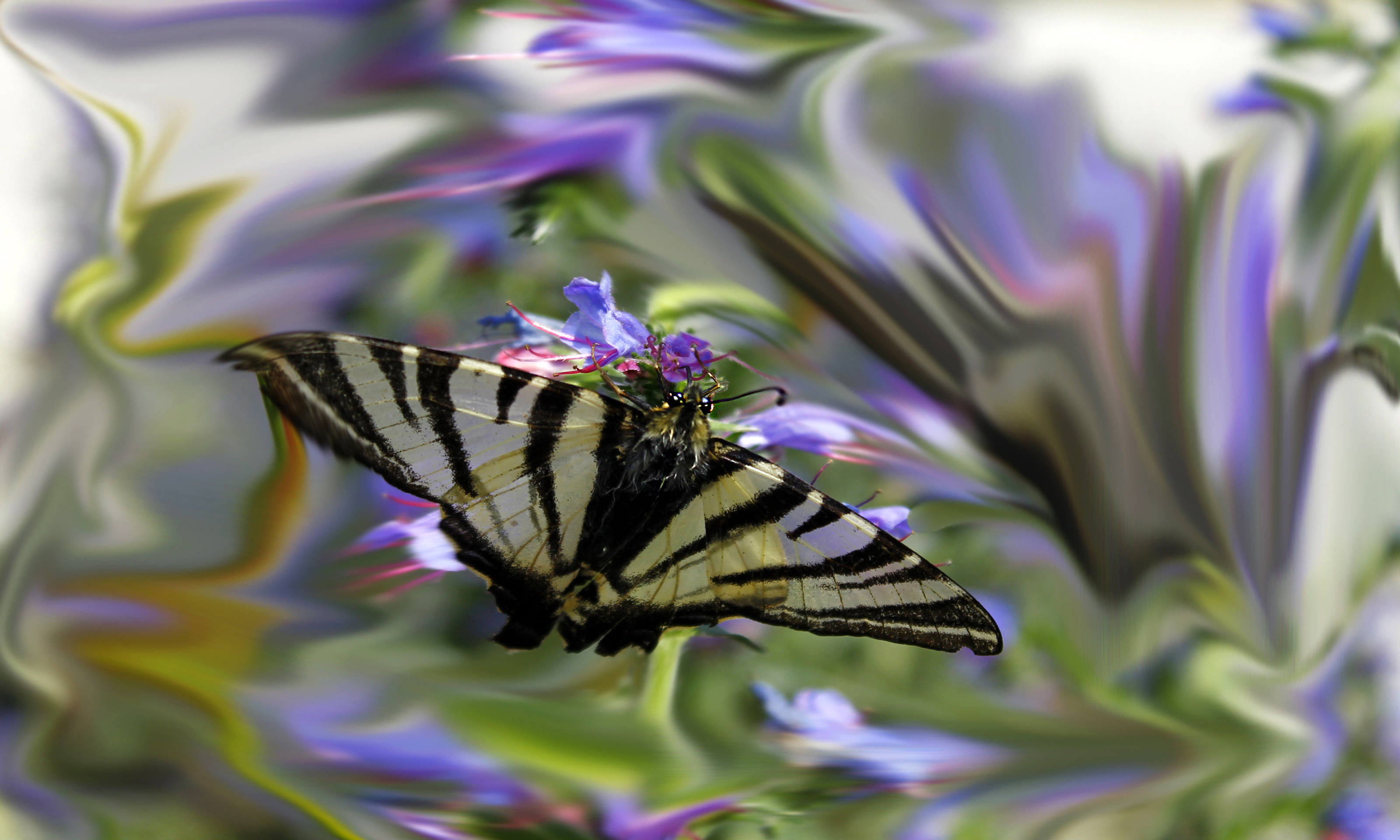 İÇİMİZDEN BİRİ (AYIN KONUĞU) ARALIK