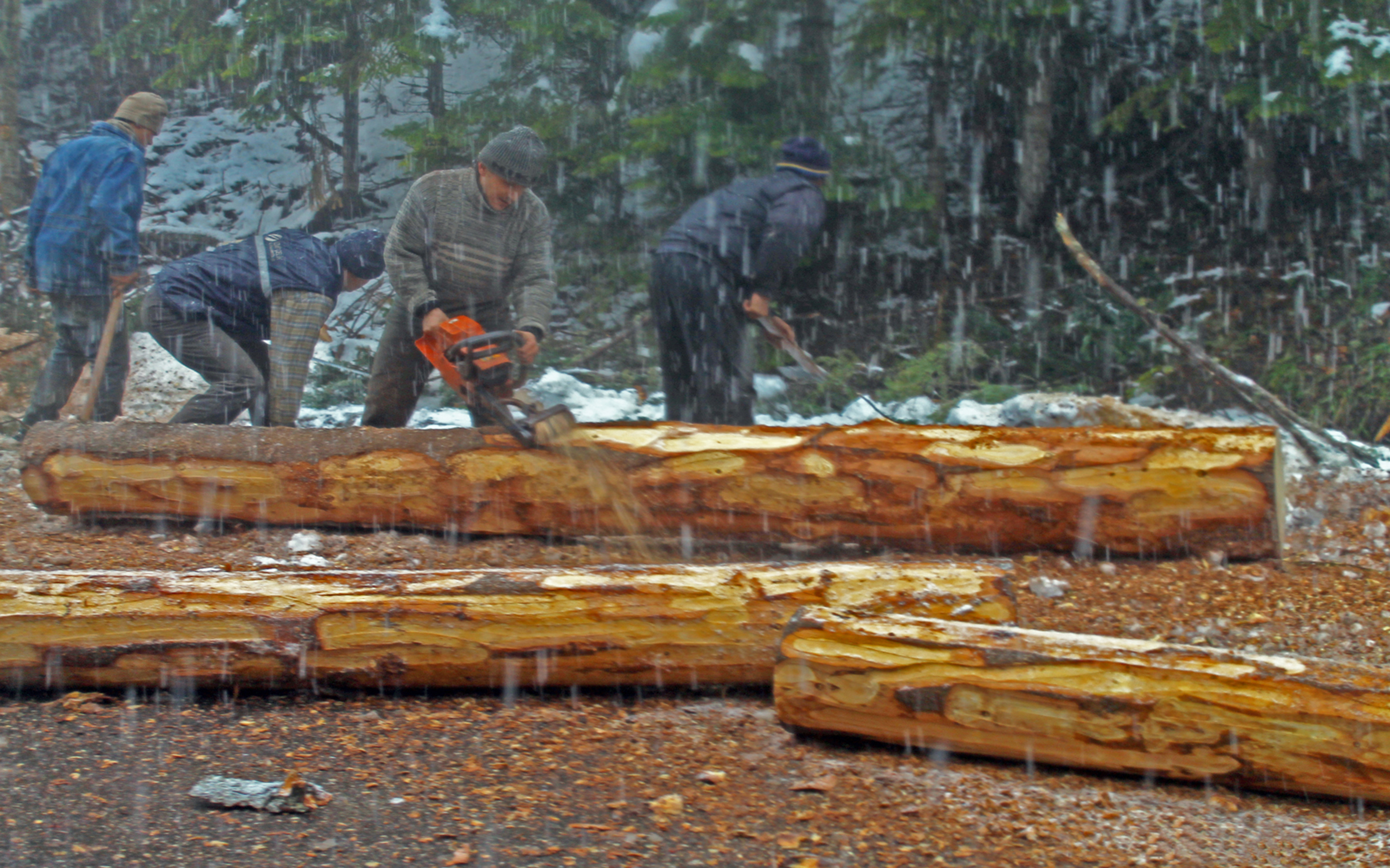 İÇİMİZDEN BİRİ (AYIN KONUĞU) ARALIK