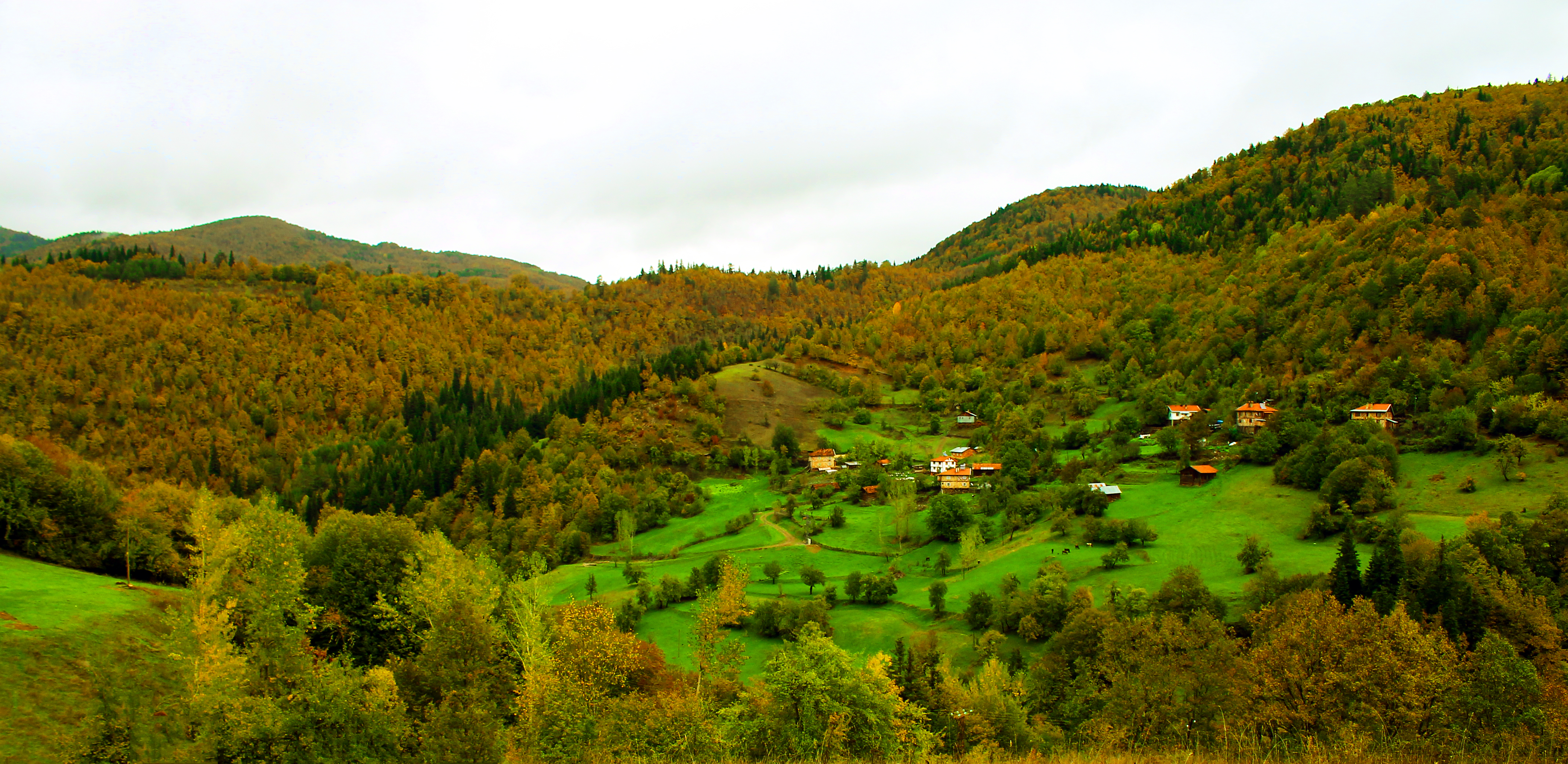 İÇİMİZDEN BİRİ (AYIN KONUĞU) ARALIK