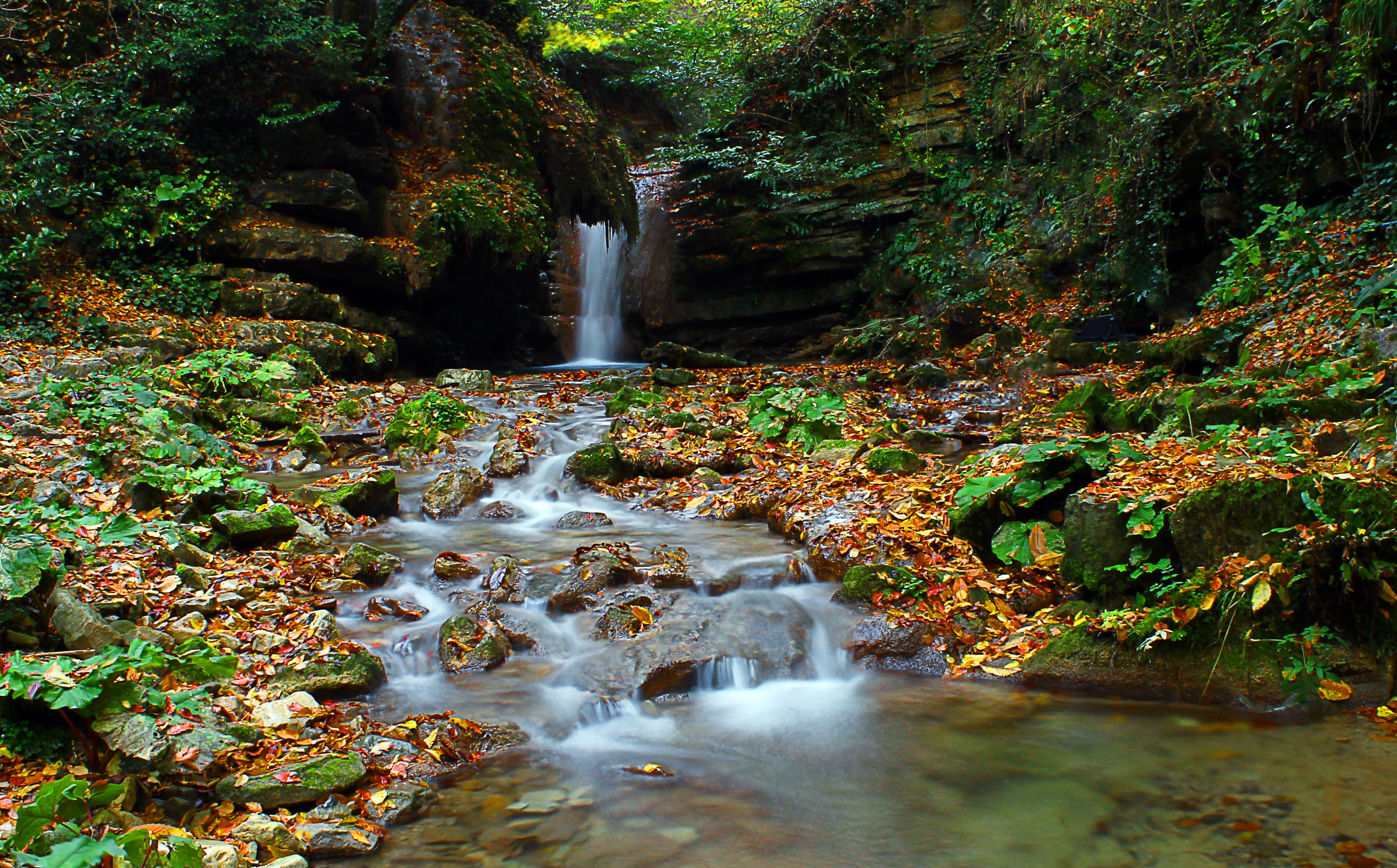 İÇİMİZDEN BİRİ (AYIN KONUĞU) ARALIK