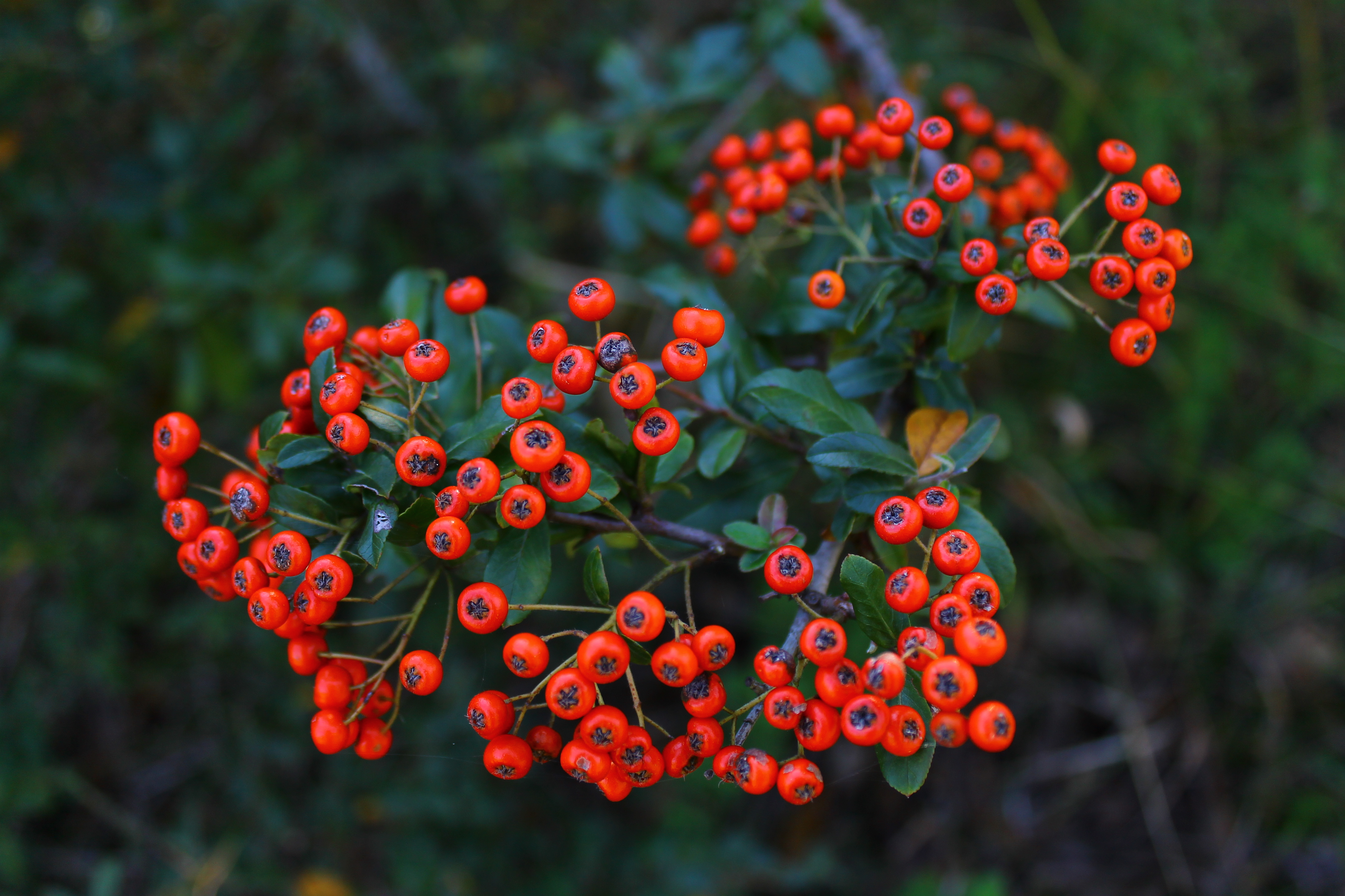 İÇİMİZDEN BİRİ (AYIN KONUĞU) ARALIK