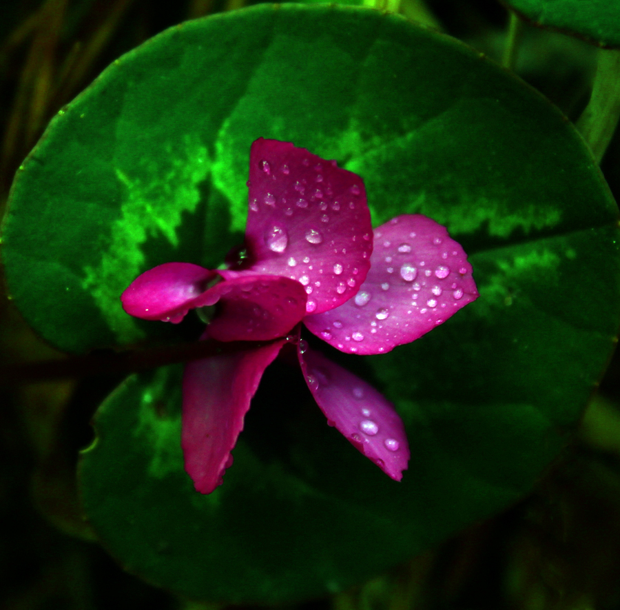 İÇİMİZDEN BİRİ (AYIN KONUĞU) ARALIK