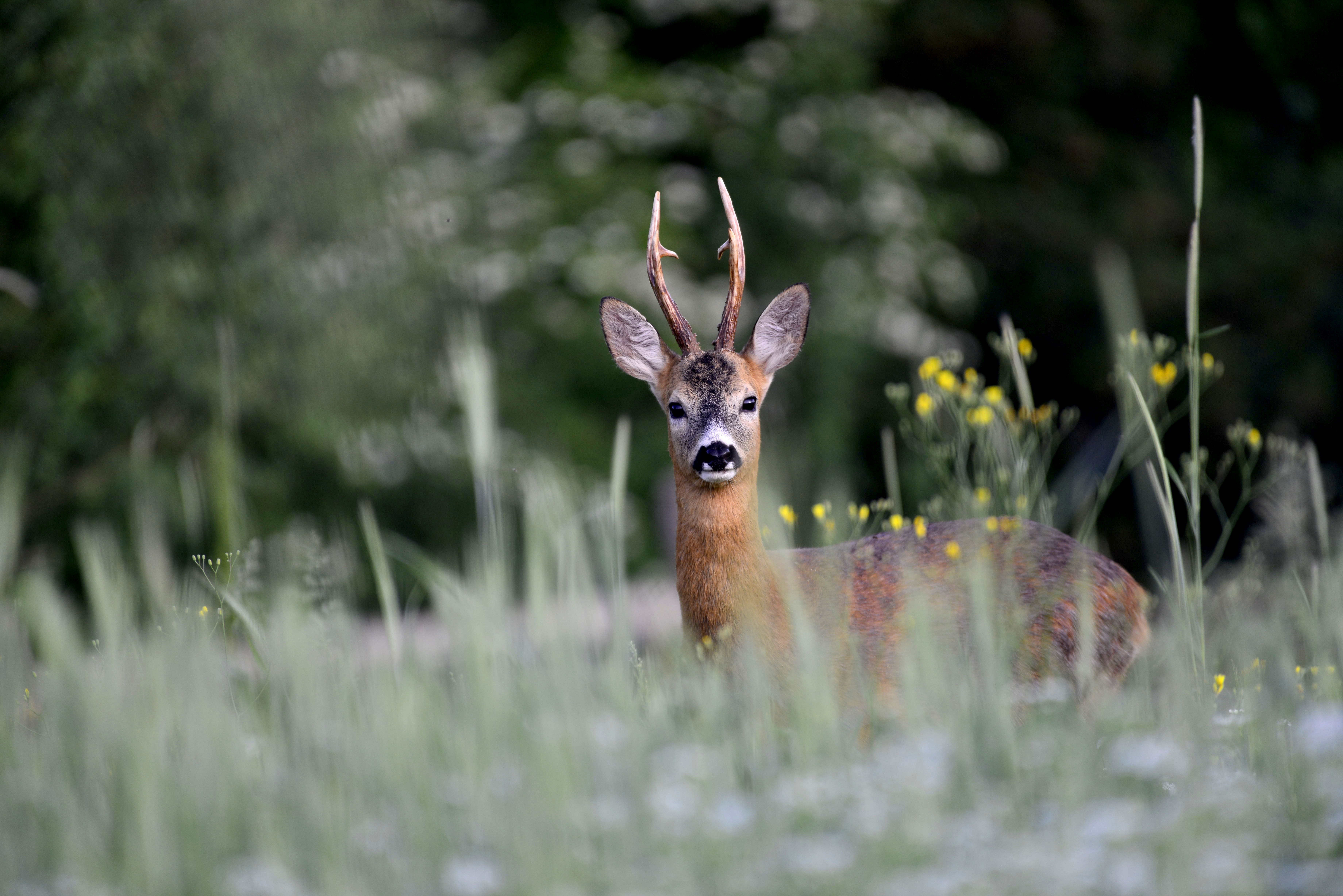 İÇİMİZDEN BİRİ (AYIN KONUĞU)  - KASIM