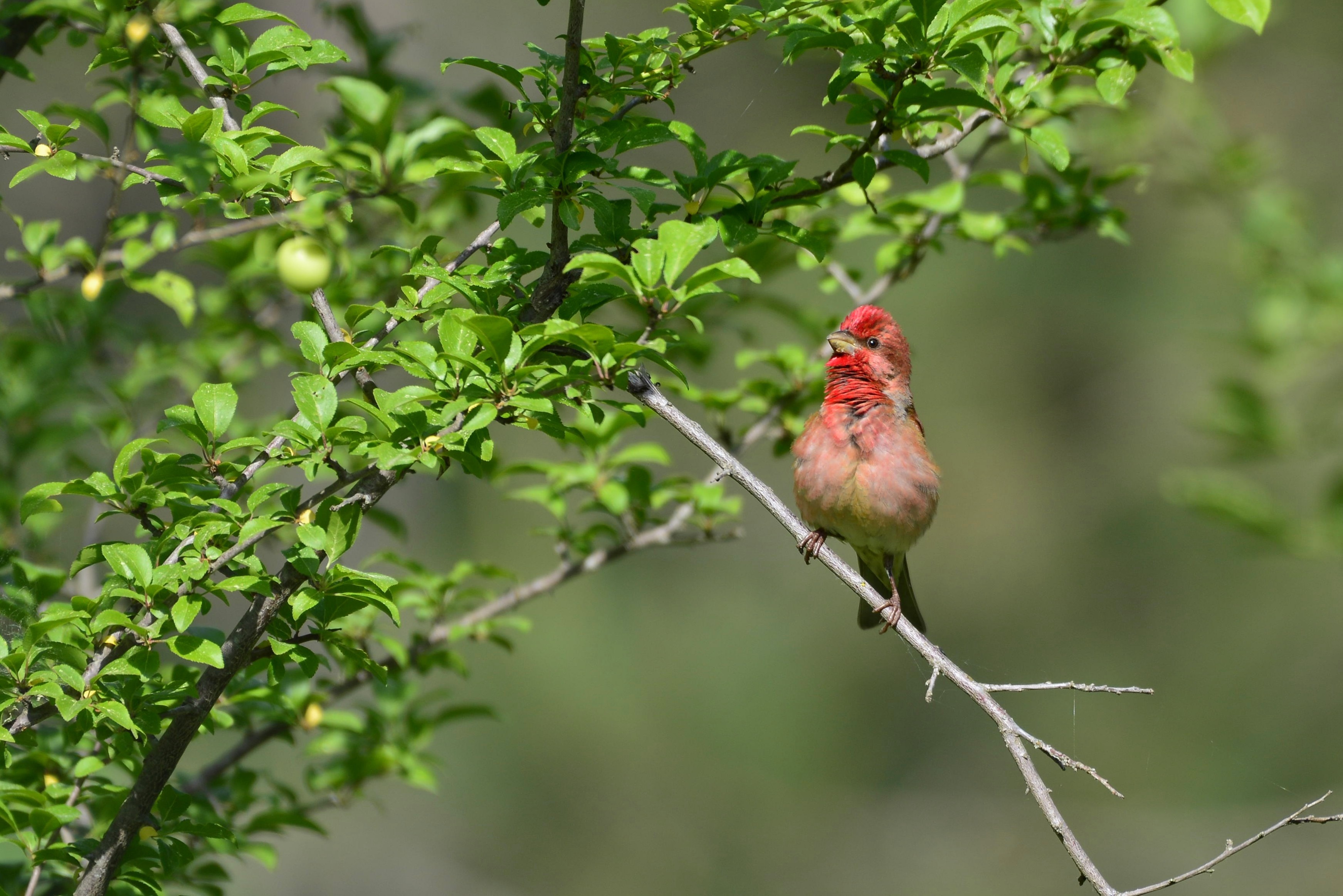 İÇİMİZDEN BİRİ (AYIN KONUĞU)  - KASIM