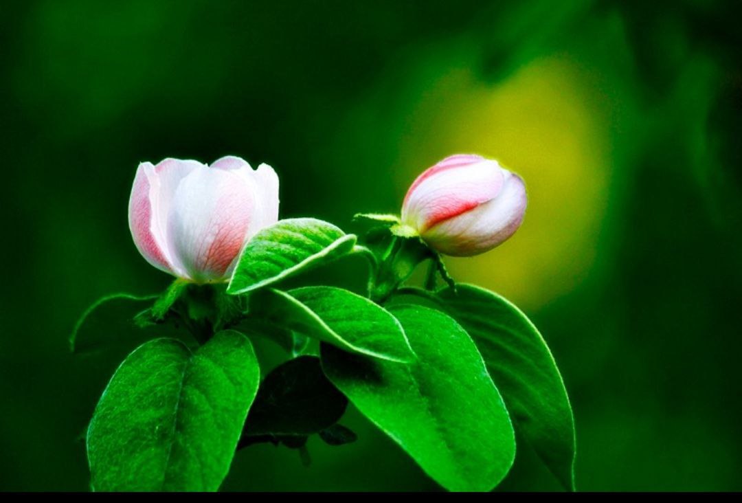 İÇİMİZDEN BİRİ (AYIN KONUĞU)  - EKİM