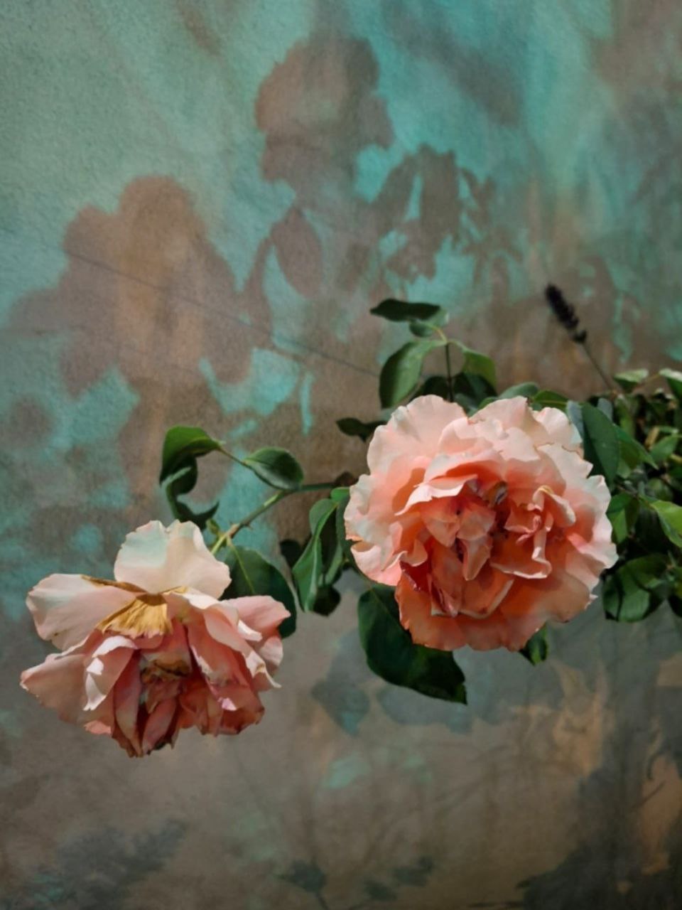 İÇİMİZDEN BİRİ (AYIN KONUĞU)  - EKİM