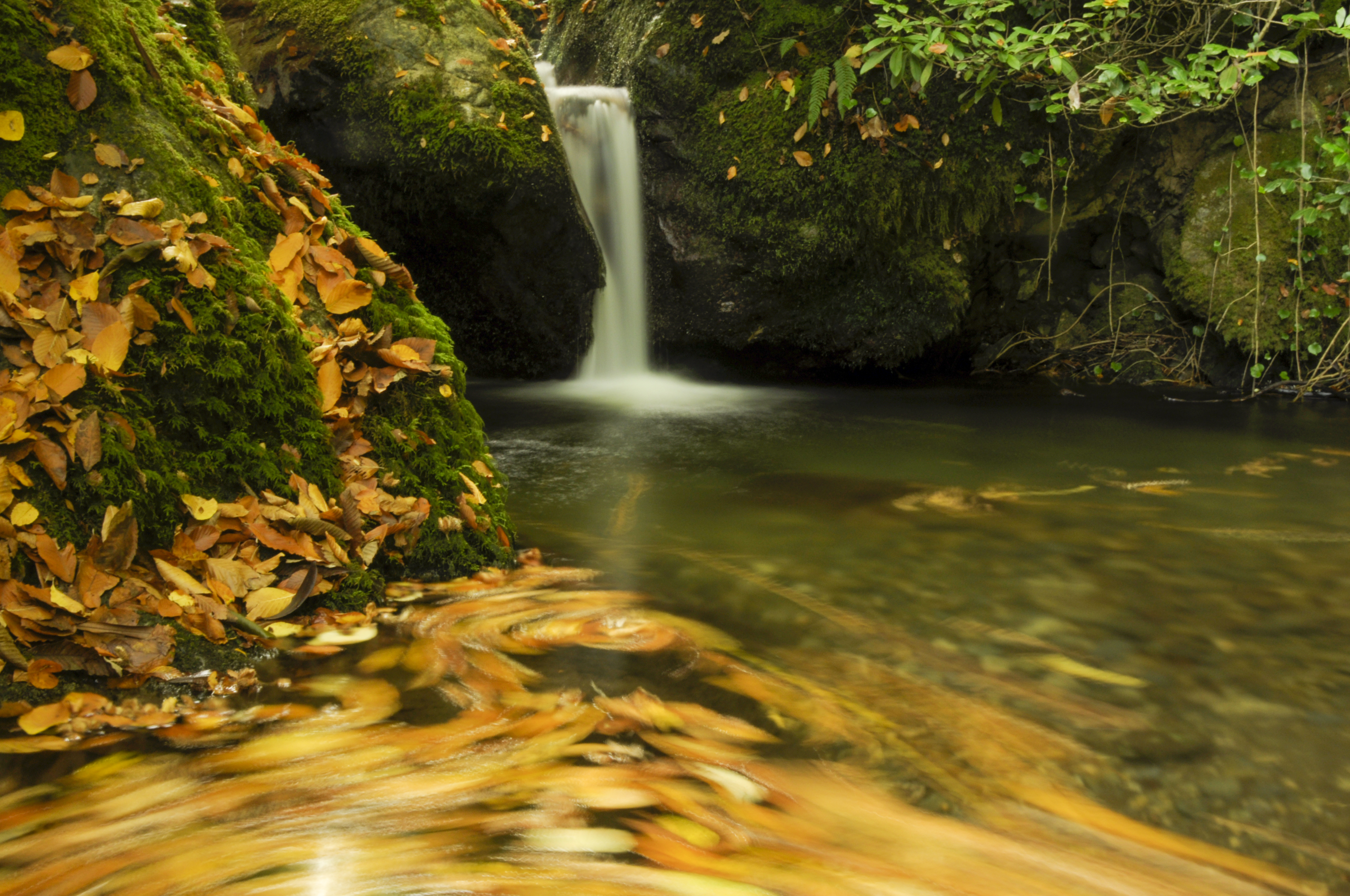 İÇİMİZDEN BİRİ (AYIN KONUĞU) NİSAN-2026