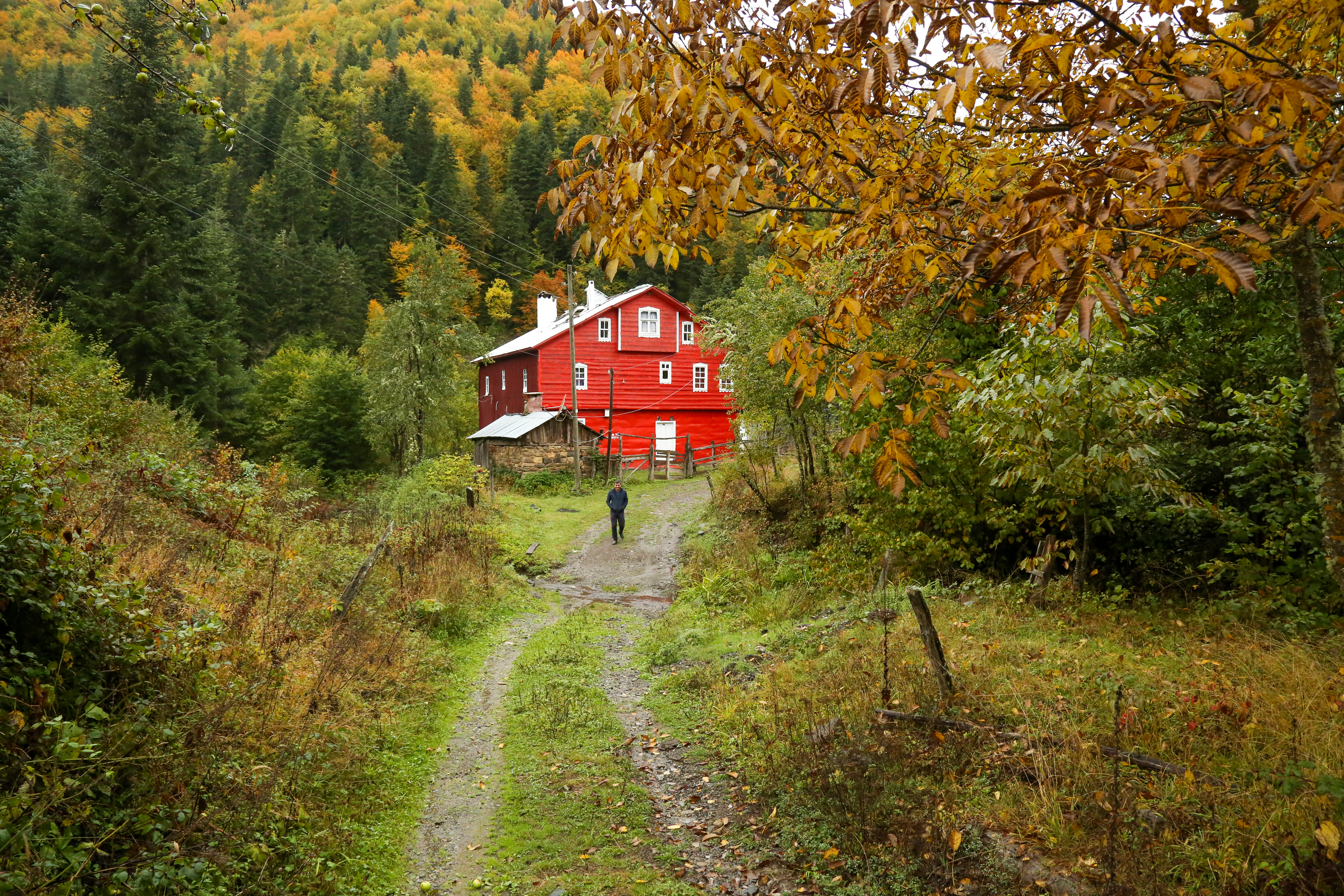 İÇİMİZDEN BİRİ (AYIN KONUĞU) NİSAN-2026